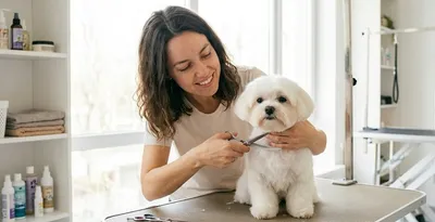 Maltańczyk: Modne Fryzury i Strzyżenia dla Twojego Słodkiego Pupila